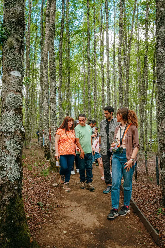 Grupo caminando por un sendero entre los árboles