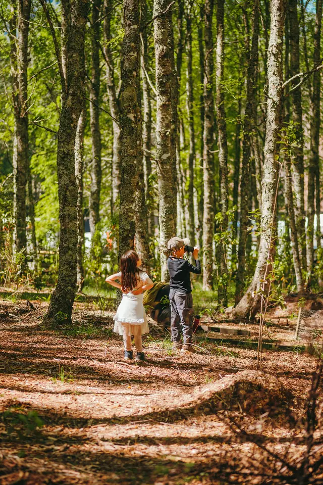 Niños caminando por el bosque del parque