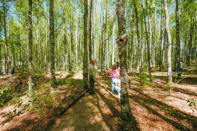 Visitantes recorren el bosque del parque